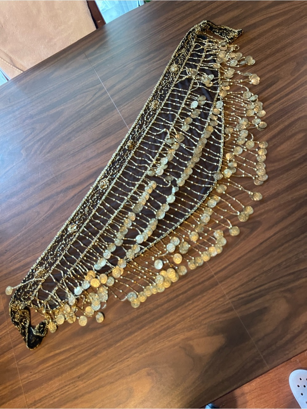 Gold Coin Fringe Belly Dance Hip Scarf